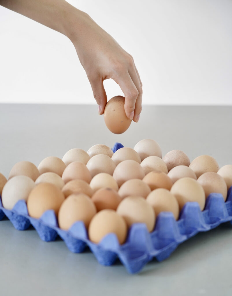A blue cardboard tray of 30 free-range eggs from Springles Eggs near Lewes in East Sussex UK